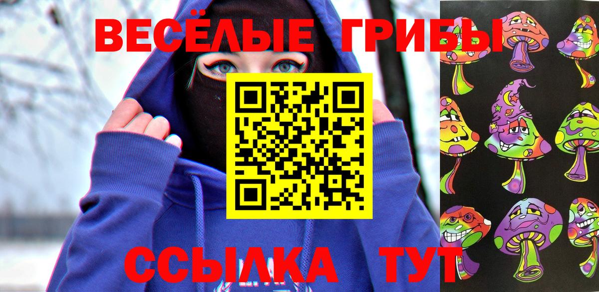 Тимашёвск  Псилоцибиновые грибы Psilocybe  Вход с VPN  Галлюциногенные грибы прущие грибы 